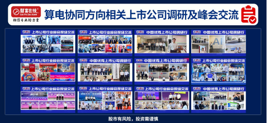 财富在线：看懂“算电协同”逻辑！这6大企业已抢先布局 2
