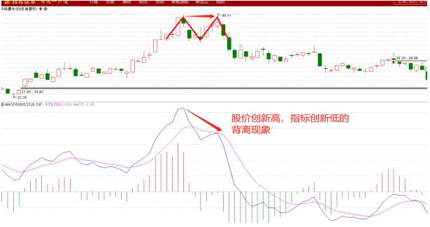 【独家课堂】M头形态特点教学2 1